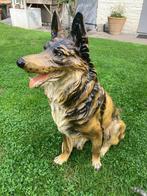 Mooie hond, Ophalen