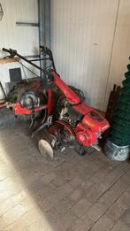 Tuinfrees honda, Enlèvement