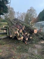 Hout (ca 30 bomen) MOET SNEL WEG, Ophalen