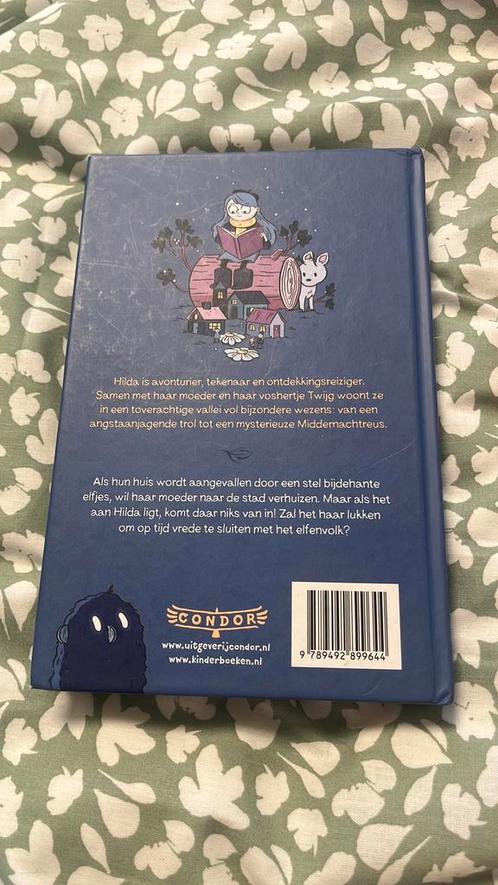 Stephen Davies - Hilda en het verborgen volk, Boeken, Kinderboeken | Jeugd | onder 10 jaar, Zo goed als nieuw, Verzenden