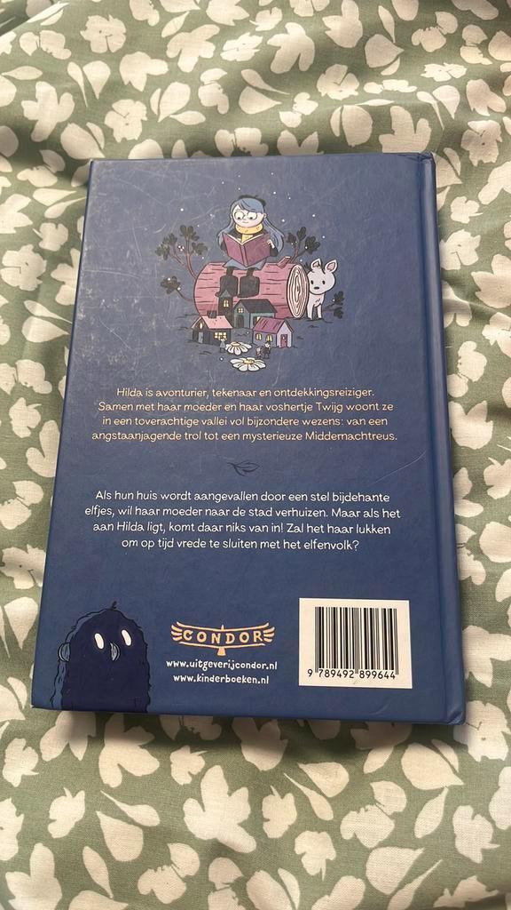 Stephen Davies - Hilda en het verborgen volk, Boeken, Kinderboeken | Jeugd | onder 10 jaar, Zo goed als nieuw, Verzenden