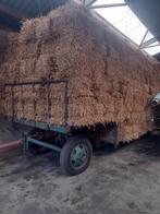 kleine balen stro, Articles professionnels, Agriculture | Aliments pour bétail, Enlèvement