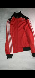 Pull adidas, Ophalen of Verzenden