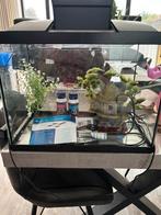 Aquarium, Ophalen, Zo goed als nieuw