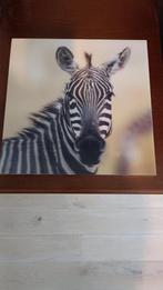 3D Kader zebra, Antiek en Kunst, Ophalen