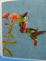 Oiseaux de paradis et colibris Artis, Album d'images, Utilisé, Enlèvement ou Envoi