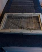 Grote vogelkooi + toebehoren, Ophalen, Gebruikt, Vogelkooi
