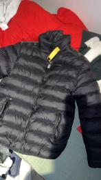 Parajumper jas, Maat 48/50 (M), Zwart, Parajumpers, Ophalen of Verzenden