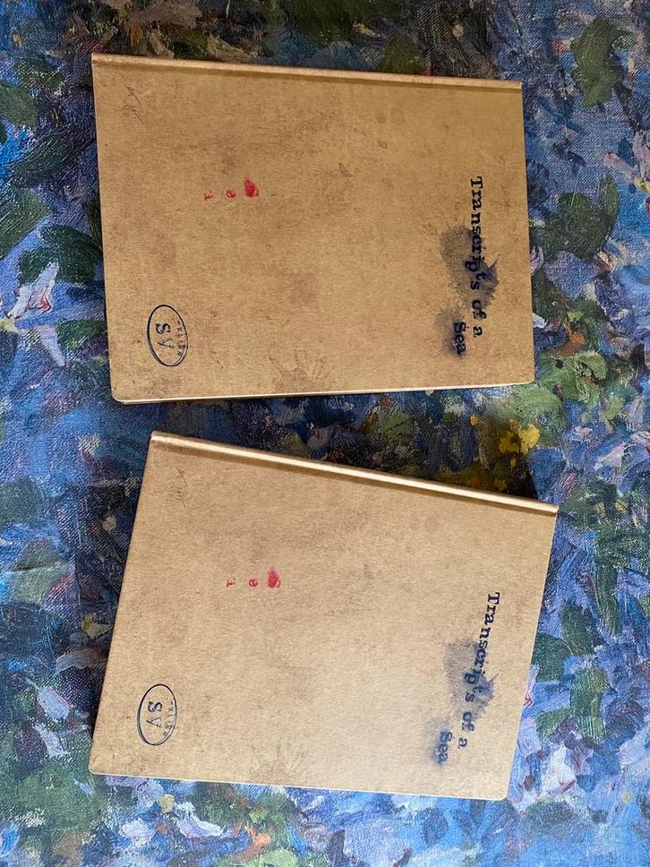 Gesigneerd Stephan Vanfleteren - Transcripts Of A Sea, Boeken, Kunst en Cultuur | Fotografie en Design, Nieuw, Fotografen, Ophalen of Verzenden