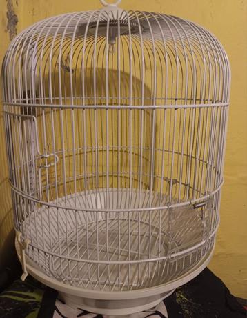Cage à canari beschikbaar voor biedingen