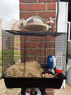 Kooi, Dieren en Toebehoren, Ophalen of Verzenden, Zo goed als nieuw, Kooi, Muis