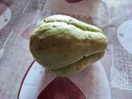 Christophine verte pour plantation - Chayote, Ophalen of Verzenden, Eenjarig