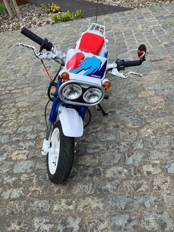 Honda Monkey Baja Replica 125cc beschikbaar voor biedingen