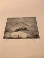 Tientallen originele etsen van Vic Buys ., Antiek en Kunst, Ophalen