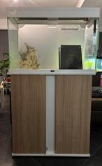 Ciano aquarium, Enlèvement, Utilisé