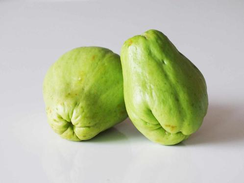 Chayote, Tuin en Terras, Bloembollen en Zaden, Ophalen of Verzenden