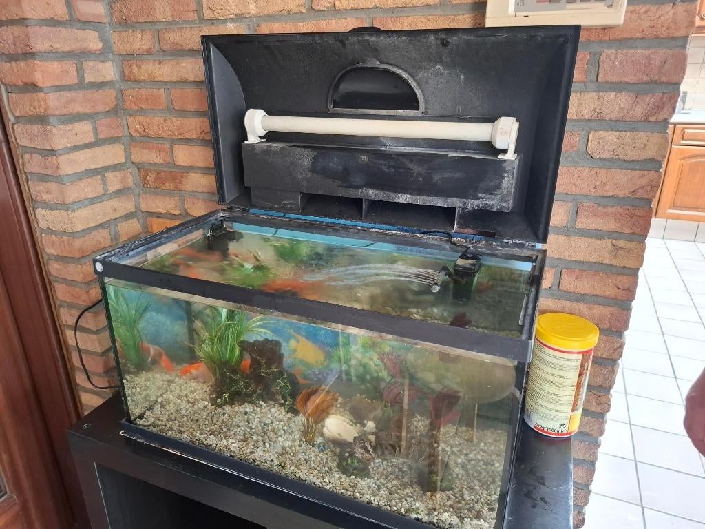 Aquarium, Dieren en Toebehoren, Ophalen, Inclusief toebehoren, Gebruikt, Leeg aquarium