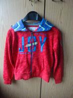 J&JOY 146 sweater - 11 jaar oud meisje of jongen goede staat, Gebruikt, Jongen of Meisje, Trui of Vest, Ophalen of Verzenden