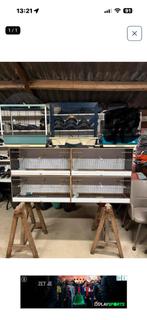 Kweekooien en vogelkooien, Dieren en Toebehoren, Ophalen