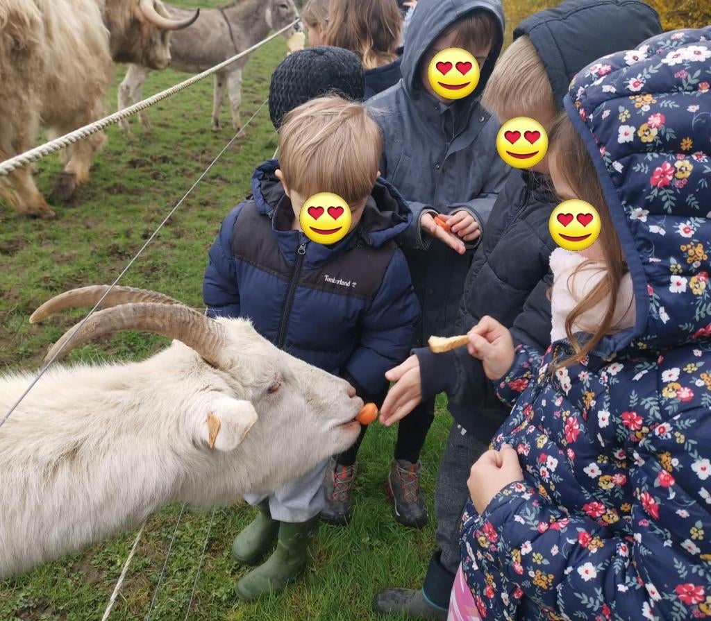 🎉 Anniversaire enfant avec rapace et animaux 🦅, Enlèvement, Neuf