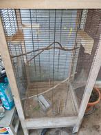 Vogel kooi, Enlèvement