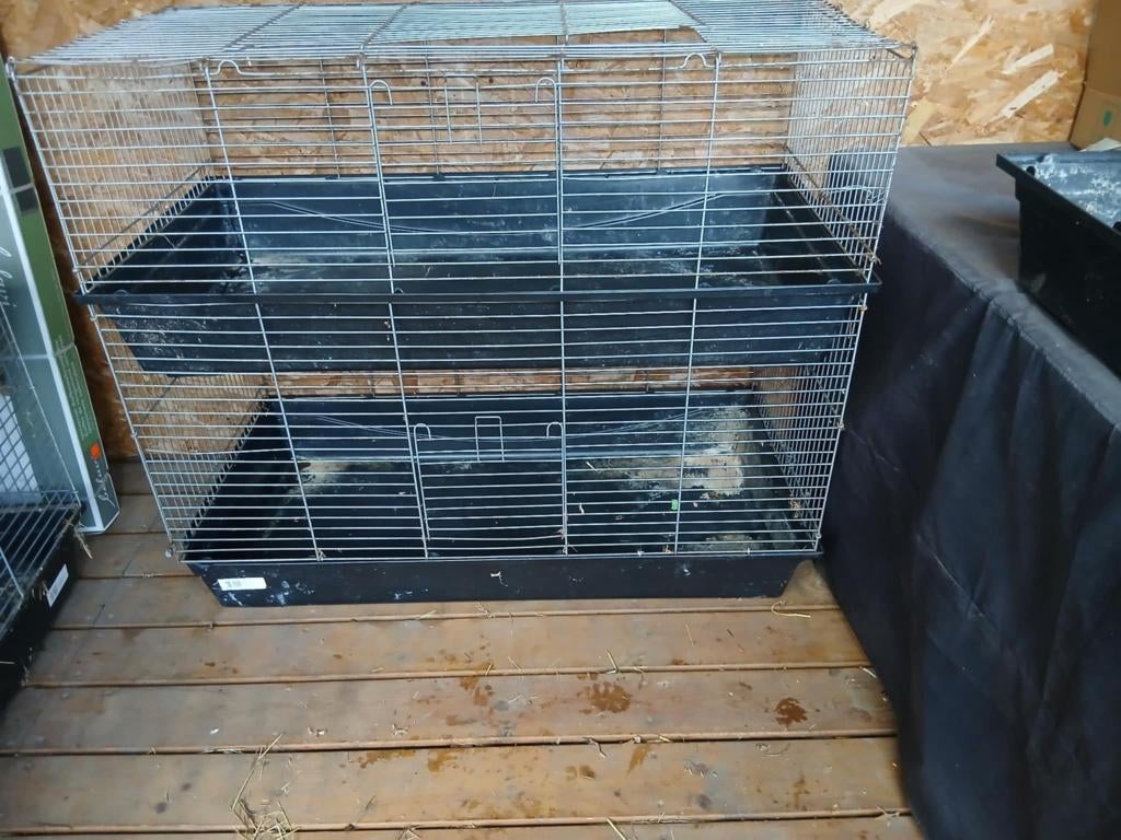 Kooien te koop, Dieren en Toebehoren, Ophalen, Kooi, Fret