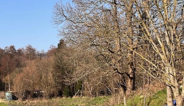 Te koop: Percelen hooiland/weiland Grote Baan Houthalen, Immo, Gronden en Bouwgronden, Houthalen-Helchteren, Verkoop zonder makelaar