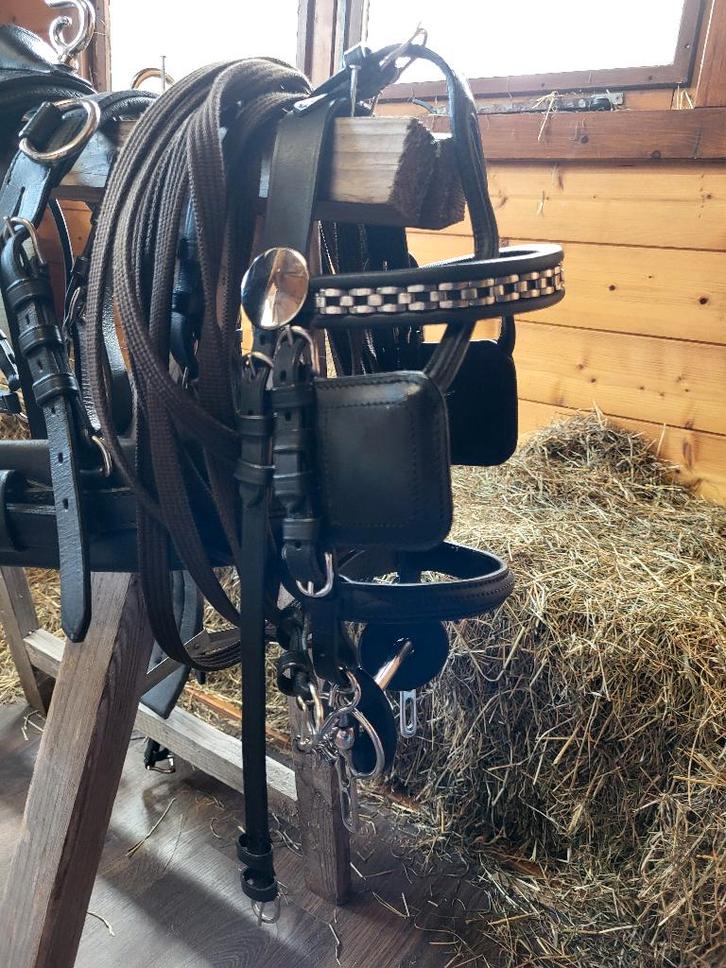 Mini shetlander mentuig, Dieren en Toebehoren, Rijtuigen en Koetsen, Zo goed als nieuw, Overige typen, Pony, Gesloten