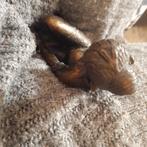 Bronzen beeldje godin, Verzenden