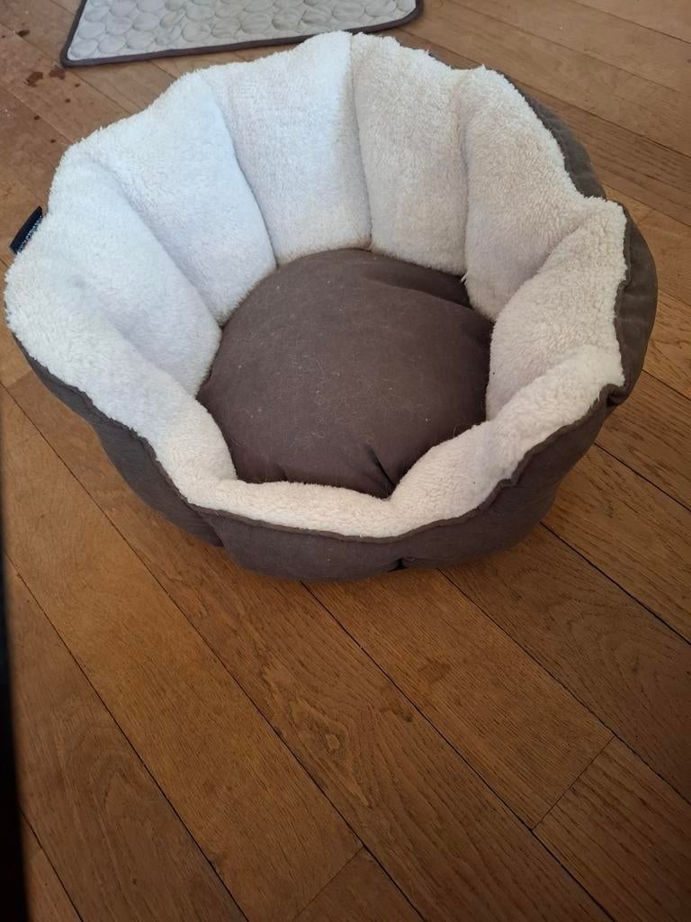 Kat mand 43 op 40 nieuw., Ophalen, Nieuw, Overige