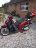 Scooter Honda, Particulier, Scooter