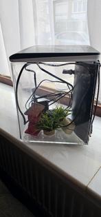 Aquarium, Dieren en Toebehoren, Vissen | Aquaria en Toebehoren, Ophalen, Gebruikt, Overige typen