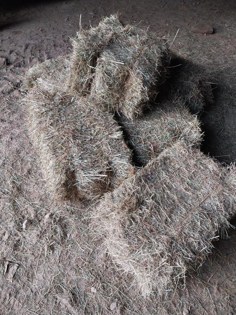 Foin petits ballots, Enlèvement