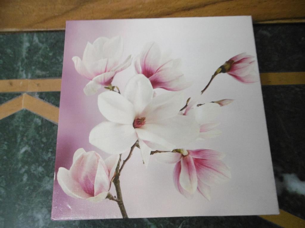 tableaux décoratif, Enlèvement ou Envoi, Comme neuf