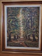 Schilderij Bernard De Maere 60 x 75 cm, Antiquités & Art, Art | Peinture | Classique, Enlèvement