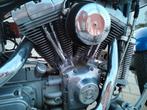 Harley Davidson 1450, Motoren, 2 cilinders, 1449 cc, Particulier, Meer dan 35 kW