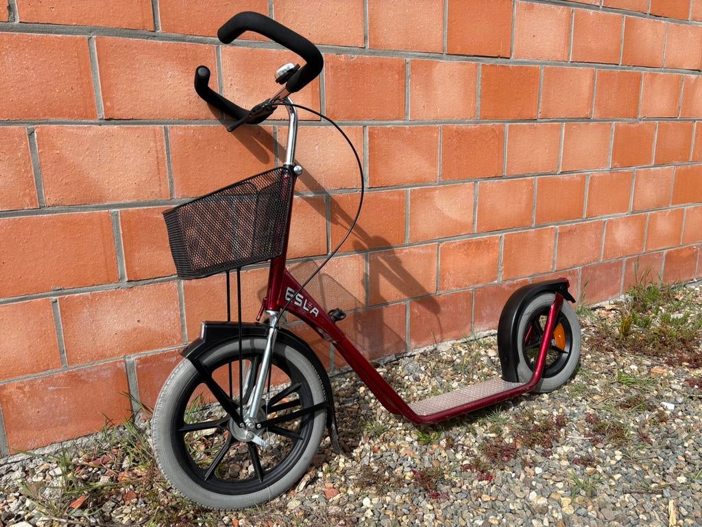 Step Esla voor volwassenen en kinderen, Ophalen, Zo goed als nieuw