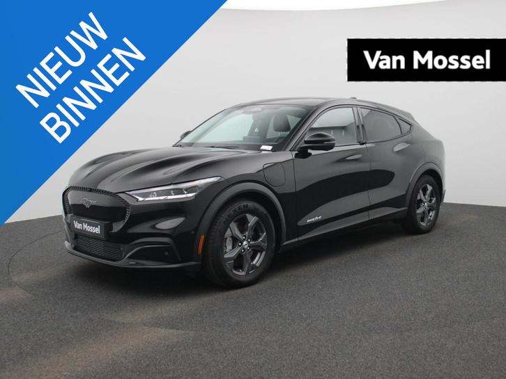 Ford Mustang Mach-E RWD 75 kWh (automatique), Autos, Ford, Entreprise, Achat, Mustang, ABS, Caméra de recul, Régulateur de distance