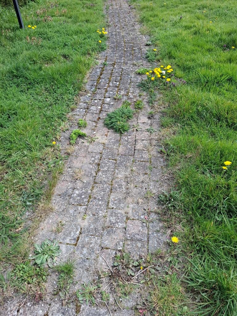 klinkers, Béton, Enlèvement, Utilisé, Briques