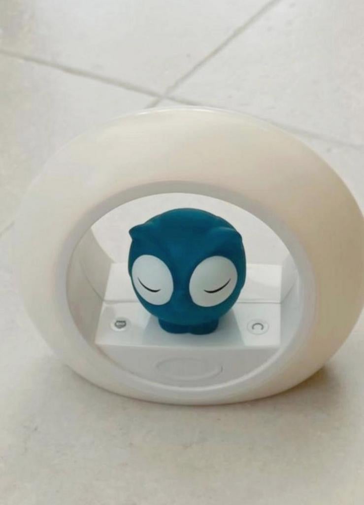 Zazu nachtlampje, Enlèvement ou Envoi