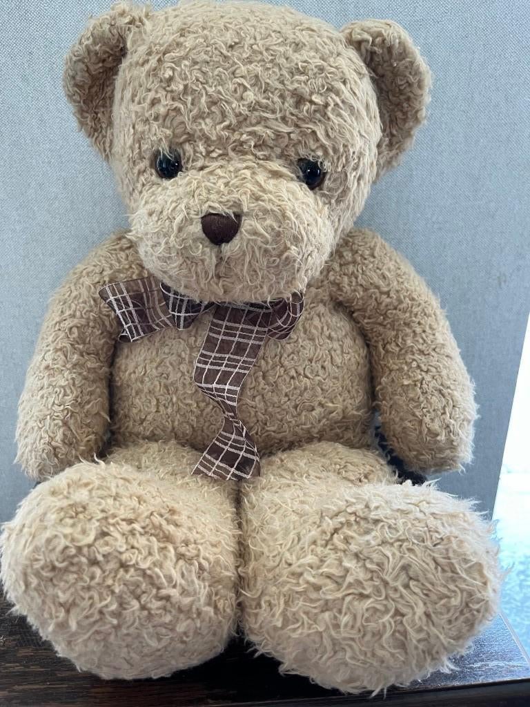 beer - Teddy Bear - 50 cm - Dake En ZN Amsterdam, Ophalen of Verzenden, Beer
