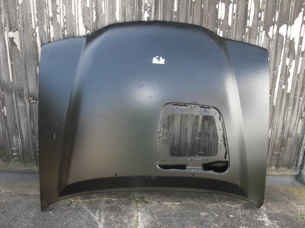 Motorkap Nissan Terrano 2 (R20), Ophalen, Voor, Nieuw, Motorkap