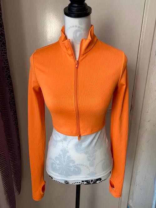 H&M kort vest met split oranje maat S rood, Kleding | Dames, Truien en Vesten, Ophalen of Verzenden