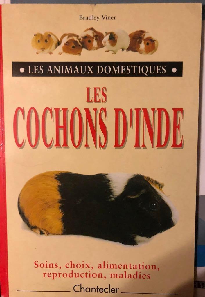 Les cochons d'Inde, Les animaux domestiques, Boeken, Dieren en Huisdieren, Nieuw, Ophalen of Verzenden