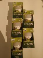 LED- lampen (5Watt/E14), Ophalen, Nieuw, Led-lamp