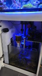 Reefer 170 zeewateraquarium, Dieren en Toebehoren, Ophalen, Gebruikt, Leeg aquarium