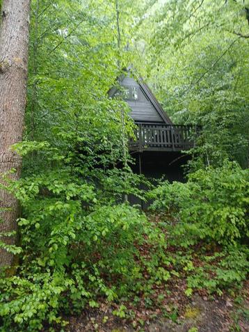 Ardennen- Chalet Petit Durbuy te huur! beschikbaar voor biedingen