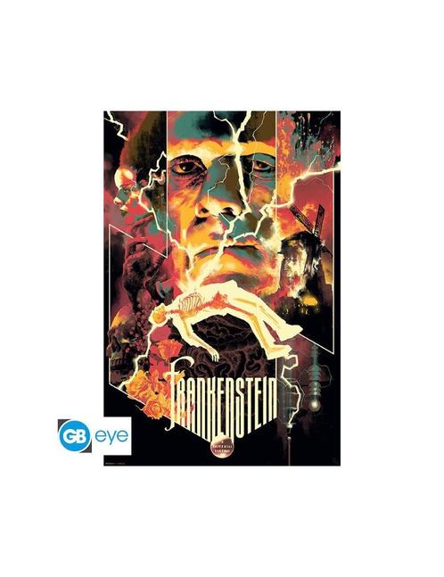 Universal Monsters - Poster Maxi (91.5x61cm) - Frankenstein, Verzamelen, Posters, Nieuw, Film en Tv, Deurposter of groter, Vierkant