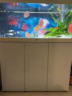 aquarium Juwel 180l + filter jbl e902, Dieren en Toebehoren, Ophalen of Verzenden, Gebruikt, Gevuld zoetwateraquarium