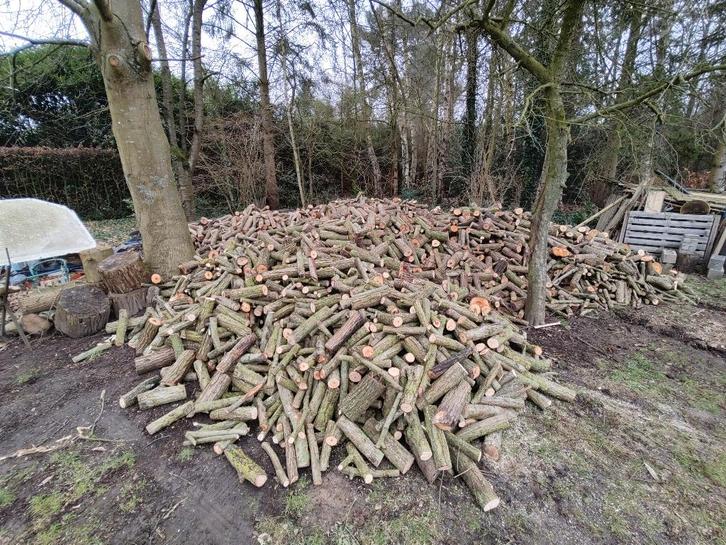 Brandhout wilg, Tuin en Terras, Brandhout, Blokken, Overige houtsoorten, 6 m³ of meer, Ophalen